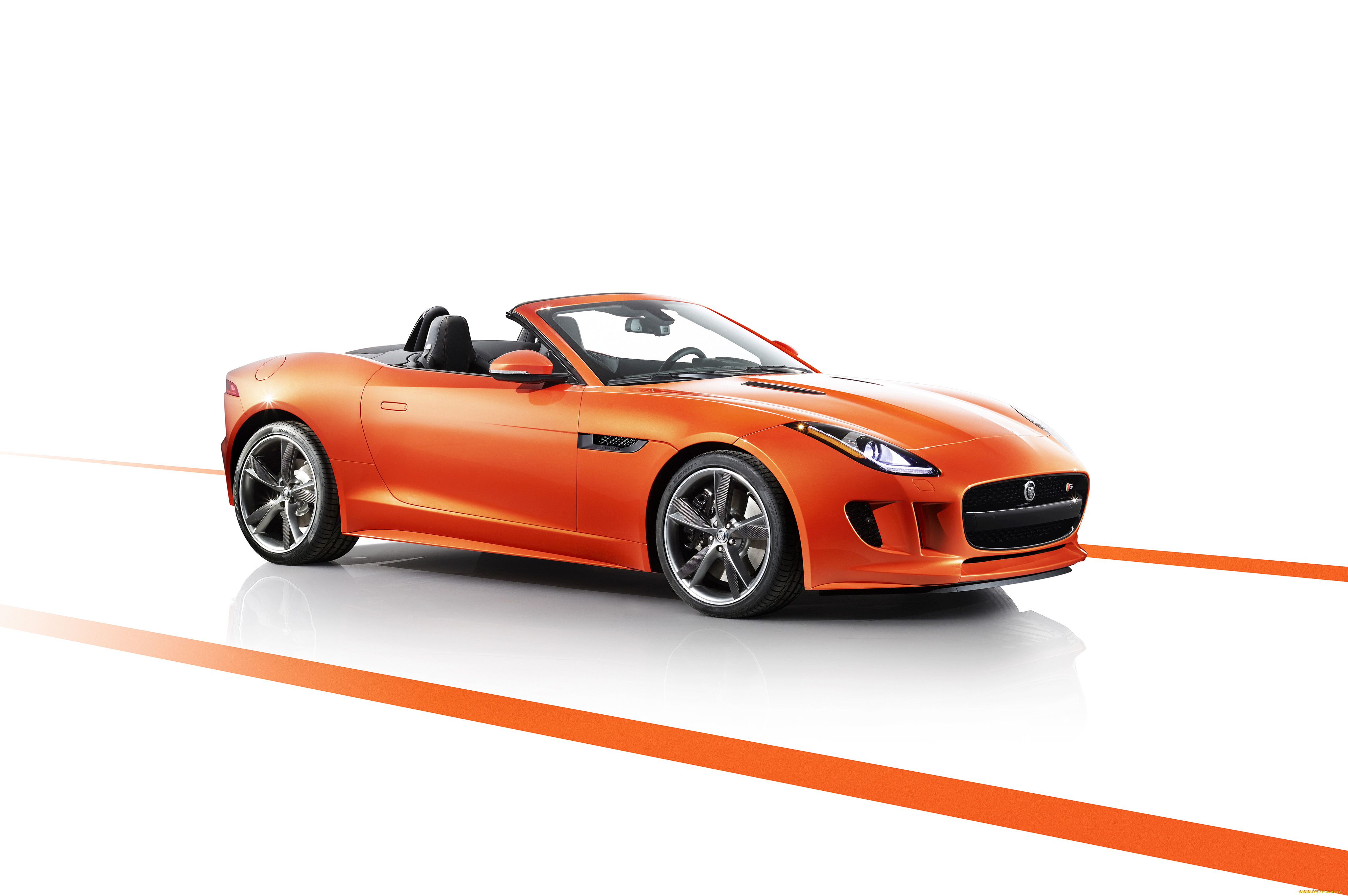 , jaguar